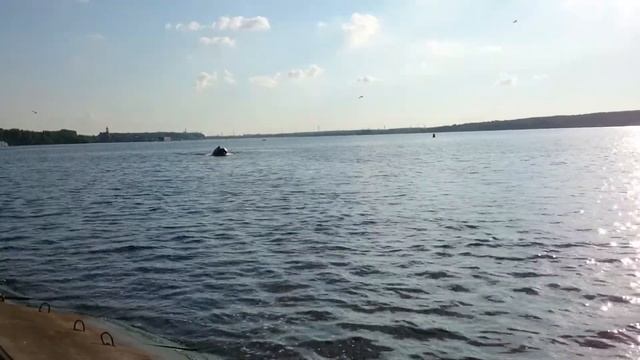 Риф Тритон 420 под Меркури f 9 9 4 тактный 23 05 2018 смотреть онлайн