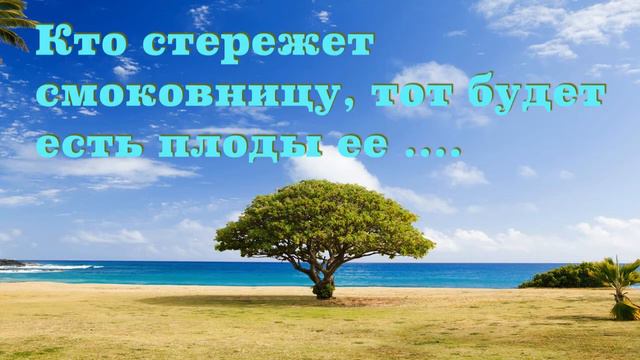 Кто стережет смоковницу, тот будет есть плоды ее .... Книга Притчи Соломона. Глава 27. смотреть онлайн