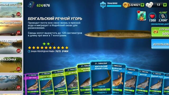 Варианты развития: частичная заморозка, заморозка и макс апгрейд приманок в игре Fishing Clash смотреть онлайн