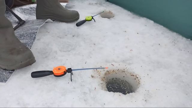 Водохранилище Ловля Плотвы смотреть онлайн