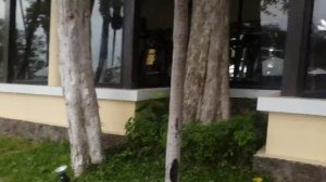 Отель Лонг Бич 4* Паттайя.