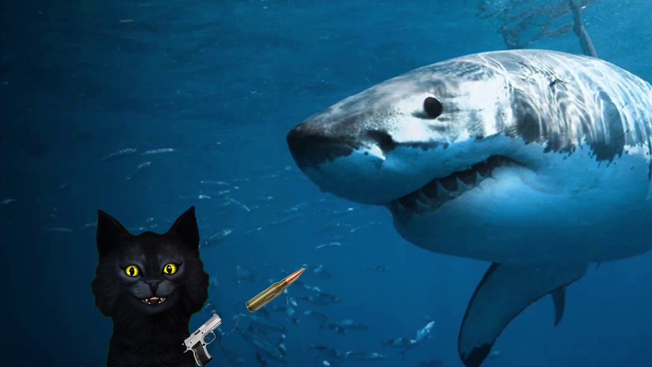 Укус акулы роблокс / SharkBite roblox / Начинаем кушать. смотреть онлайн