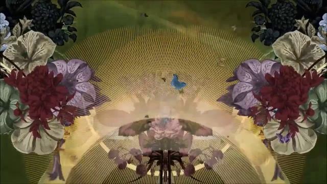 FILUGA FILM POLINARYA.mp4