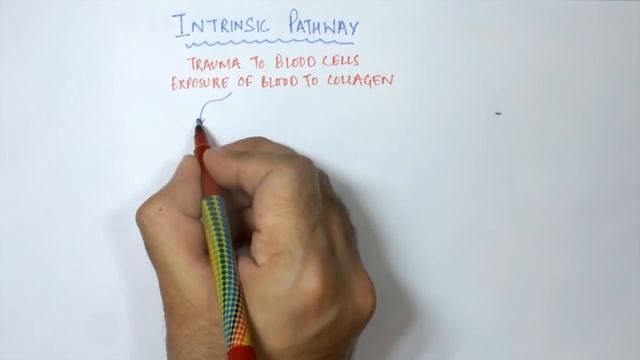 Coagulation Cascade SIMPLEST EXPLANATION ! The Extrinsic and Intrinsic Pathway o.mp4 смотреть онлайн