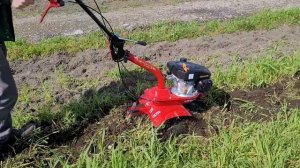 Prova in opera: motozappa Eurosystem euro 3 evo con motore Loncin 3,6 HP