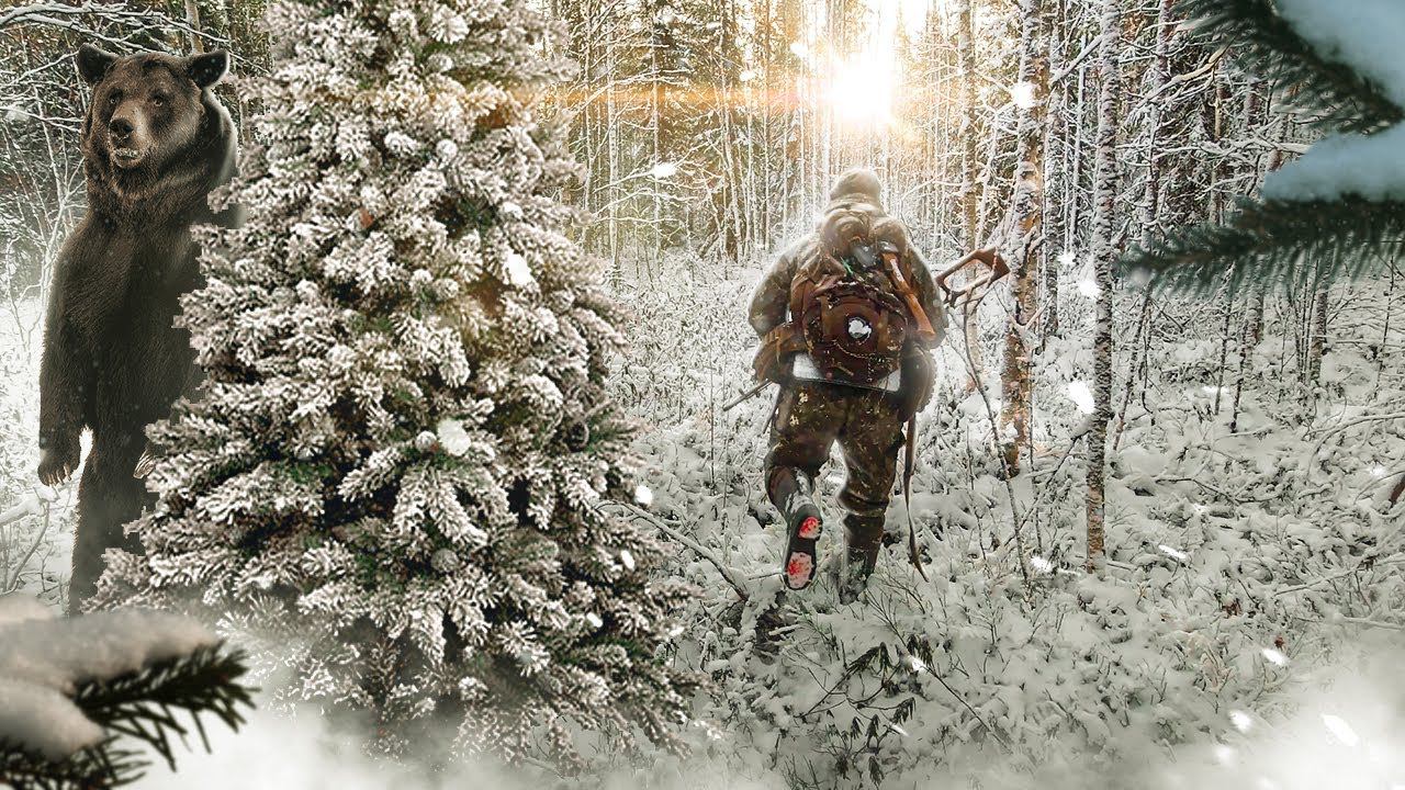 ЭТО МЕДВЕДЬ. ОТ ТАКОГО ДУХ ЗАХВАТЫВАЕТ. ЧТО Я УВИДЕЛ В ЛЕСУ. ХОДОВАЯ ОХОТА В ТАЙГЕ. ОХОТА ВПО 208. смотреть онлайн