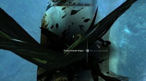 The Elder Scrolls V: Skyrim. Добыть кровь фалмера. Прохождение от SAFa