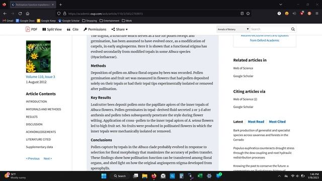 Bulb Bloom Showcase: Albuca spiralis 'Frizzle Sizzle' смотреть онлайн