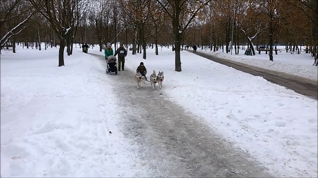 ХАСКИ смотреть онлайн
