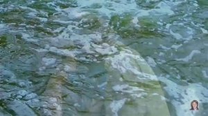 «РЕКА ЛЮБВИ».  Наталья Бучинская