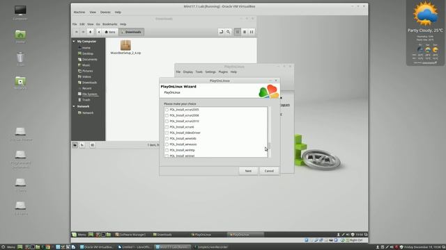 Install MusicBee in Linux Mint смотреть онлайн