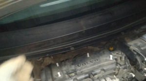 Жабо Форд Фокус