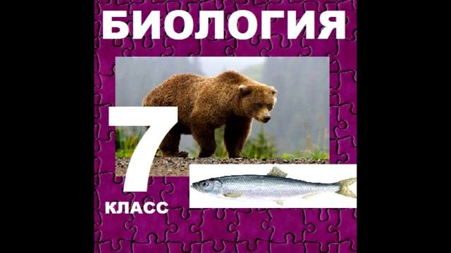 § 28.1 Годовой жизненный цикл и сезонные явления в жизни птиц. Поведение птиц в период размножения. смотреть онлайн