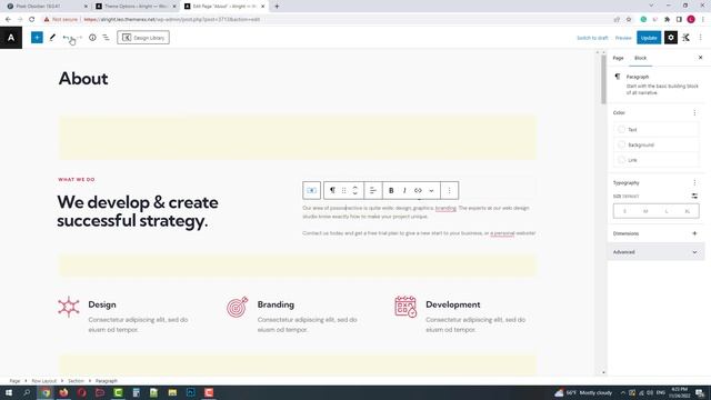 Customization, Theme Panel, Settings - Alright - Block FSE WordPress Theme смотреть онлайн