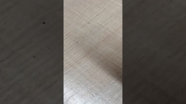Как сделать колечко из бисера в технике крестик ☺️круг ТУТОРИАЛ смотреть онлайн