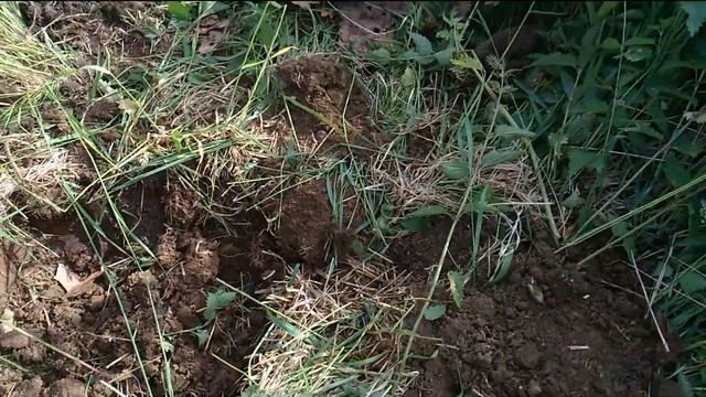 Летний коп металла. Медь, алюминий, чернина. Коп металлолома . Металокоп смотреть онлайн