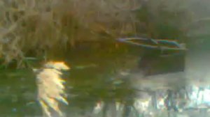 Чистка пруда с помощью лебёдки.