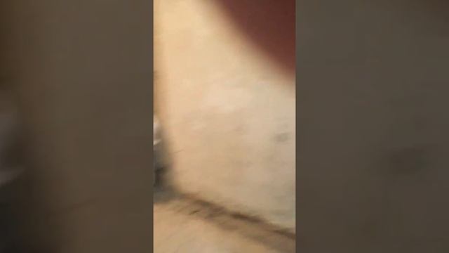 Комплексный ремонт квартиры и замена окон от ООО Редвин Груп смотреть онлайн