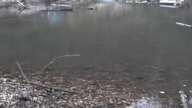 Рыбалка на кремешках Саров смотреть онлайн