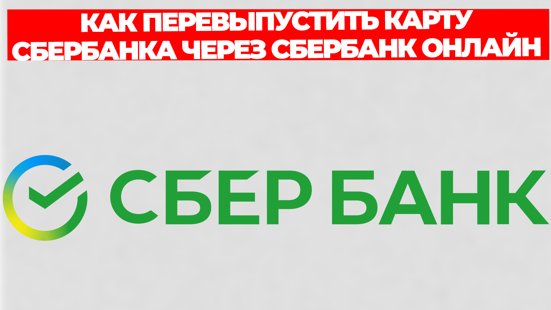 Всезнающий Енот