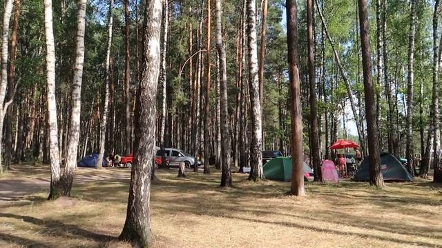 Голубые озера в Черниговской области - ехать или нет? | Цены на еду и жилье на Голубых озерах смотреть онлайн