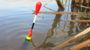 Рыбалка с Сергеем ЗУ.Карась.Леска 3D Хамелеон