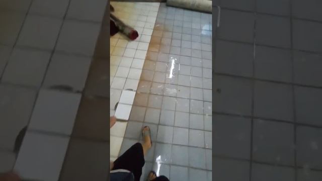 Бизнес Стирка ковров Алматы.В месяц 15000 кв м ковров всего 100 кв м помещений. Компактный фабрика. смотреть онлайн