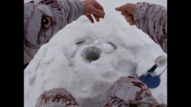 Таймень на жерлицу! смотреть онлайн