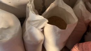 Лучшая зерносмесь для коз и Козлов! Шерсть блестит и молока вдоволь