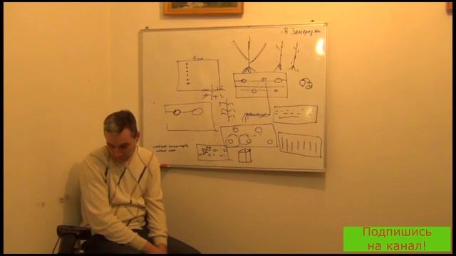 Посев мелких семян смотреть онлайн