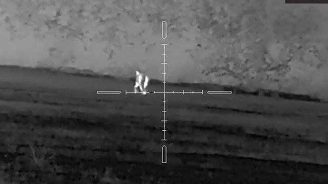 Охота на шакала с тепловизором Arkon HT 50 смотреть онлайн