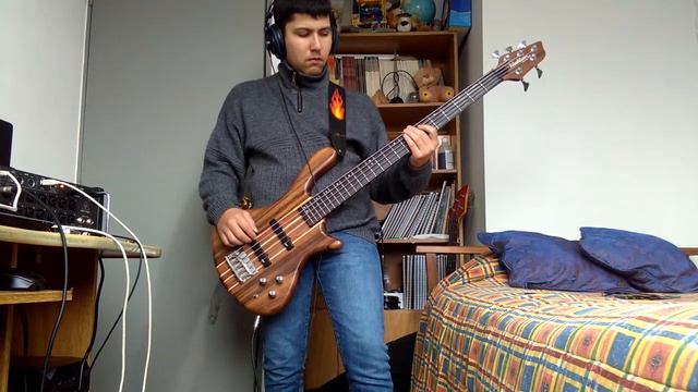 Placebo - Special Needs - Bass Cover смотреть онлайн