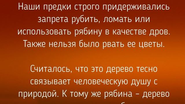 9 СЕНТЯБРЯ - ДЕНЬ АНФИСЫ РЯБИННИЦЫ ! ЗАГОВОРЫ. ТРАДИЦИИ / "ТАЙНА СЛОВ" смотреть онлайн