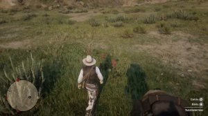 Red Dead Redemption 2 - Травник 7  [Как заварить МЕГО-барбитурат имея рецепт]