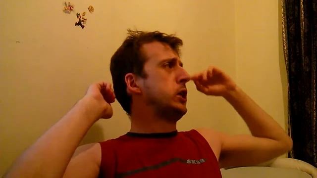 Shadowbane's Vlog: 01 "Is Skyrim a Good game?" смотреть онлайн