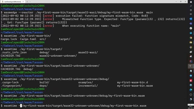 WASM Programming Part 2 Hello World And Other Functions смотреть онлайн