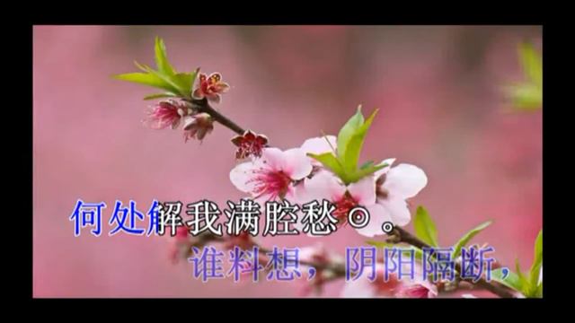 C 陳玲玉 崔護情未了 OK смотреть онлайн