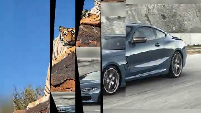 Музыка слушать и наслаждаться смотреть онлайн