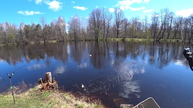 Рыбалка с Ночевкой на Любимом Месте! Поймали Леща на Лесной Реке! Жареная Рыба. Лещ на Фидер. смотреть онлайн