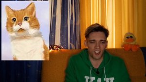 КОТ КУЗЯ — РЕШЕНИЕ СУДА