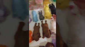 Сквиши собачки, обзор