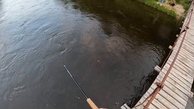 В ВЕРХОВЬЯХ РЕКИ РЫБА ЕЩЁ ЛОВИТСЯ НЕПЛОХО / FISH ARE CAUGHT IN THE UPPER REACHES OF THE RIVER смотреть онлайн