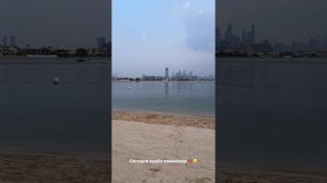 Акулы в Дубае возле пляжа