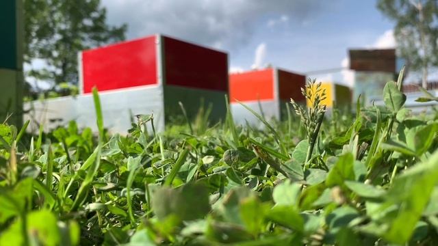 ГРЯДКИ ОЦИНКОВАННЫЕ И С ПОЛИМЕРНЫМ ПОКРЫТИЕМ ОТ ПРОИЗВОДИТЕЛЯ смотреть онлайн