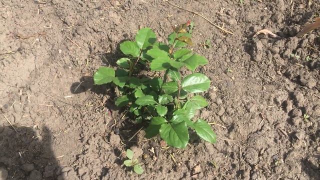 Отзыв об интернет магазине Беккер