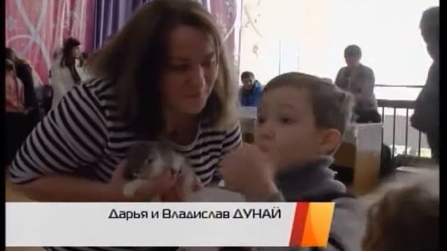 ПТИЧИЙ РЫНОК смотреть онлайн