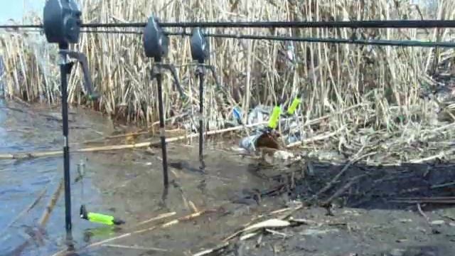 Сигнализатор поклевки для рыбалки смотреть онлайн