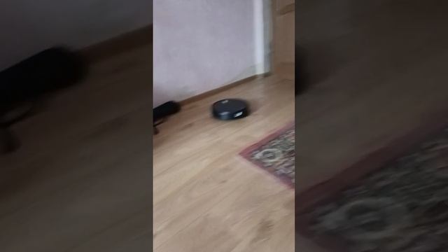 #redmond rvr 630s сспустя год #роботыпылесосы #редмонд смотреть онлайн