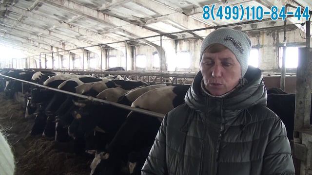 Отзыв о кормораздатчике CELIKEL, производство Турция. смотреть онлайн