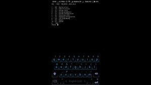 Изменение межсервисного интервала замены масла на Рено Меган 2.